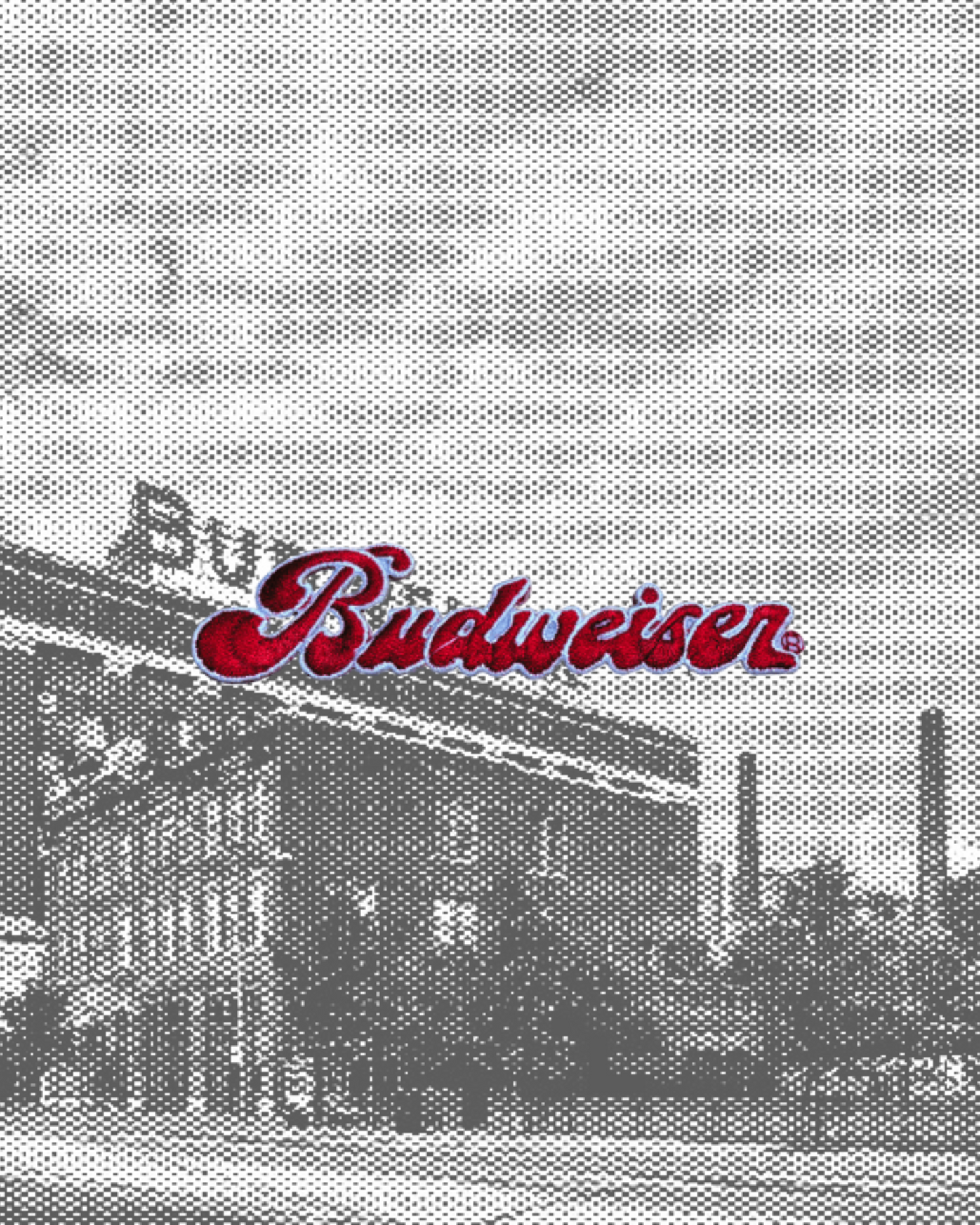 Vintage Script Budweiser Beer Patches